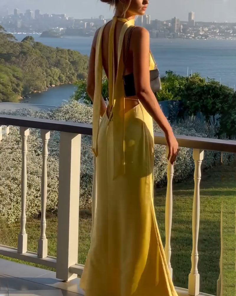 Shannie - Glamour Elegance Dress