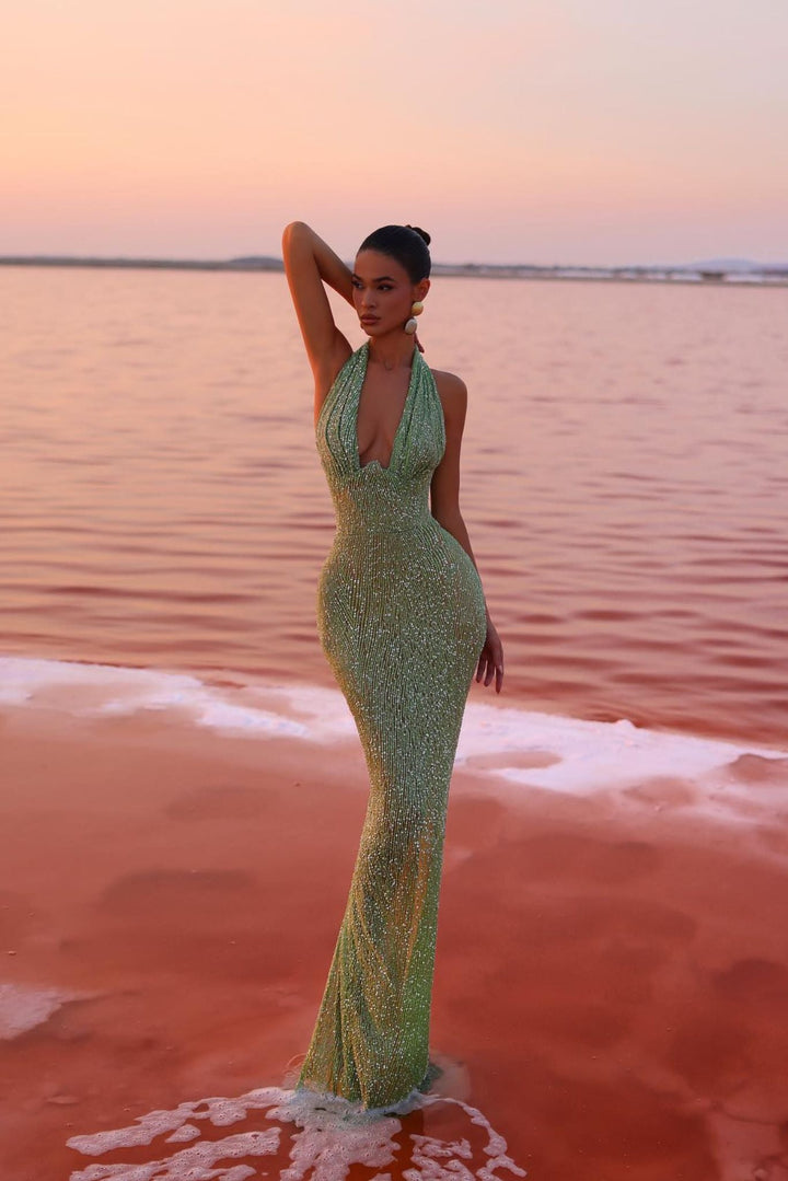 Teresa - Glam Sequin Dress